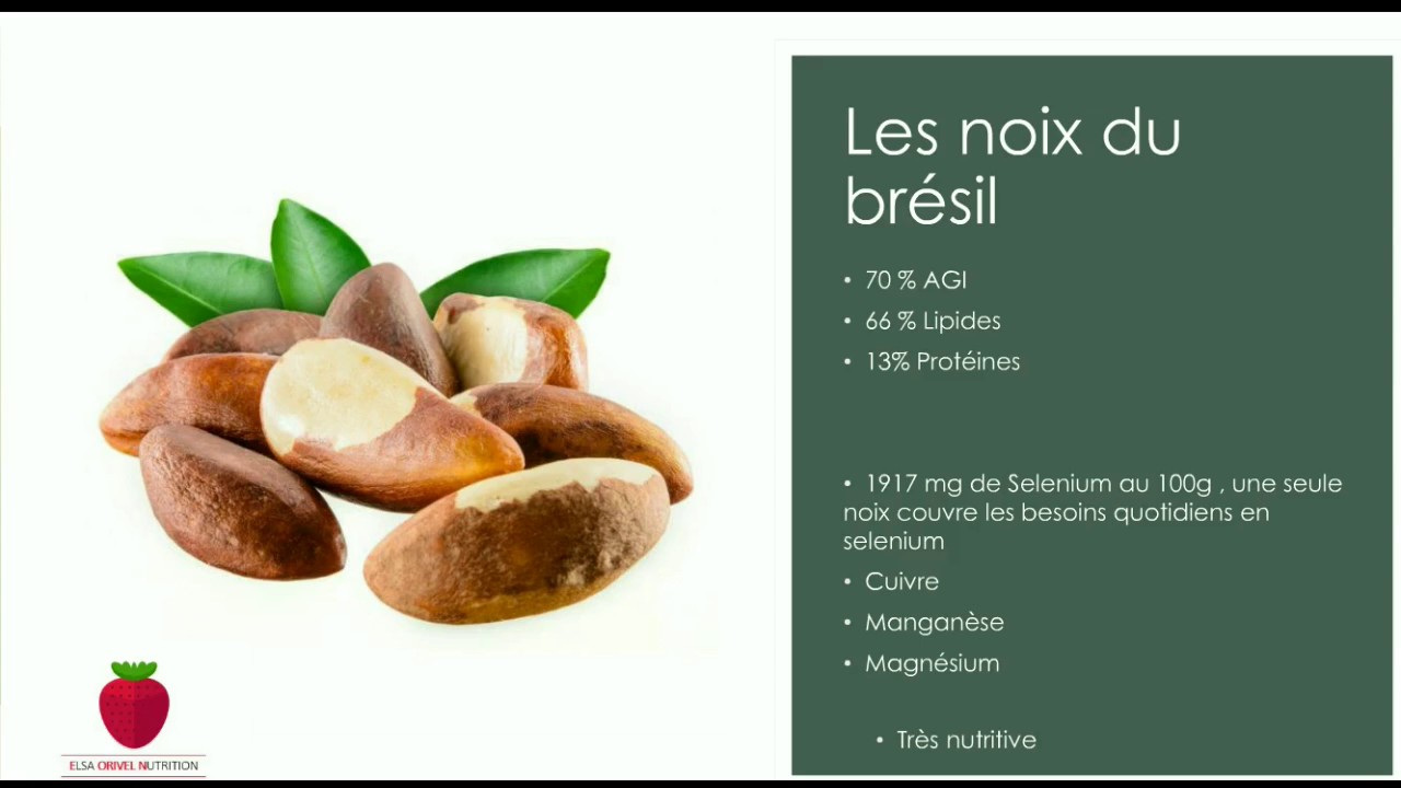 Vidéo de nutrition-Les Fruits oléagineux