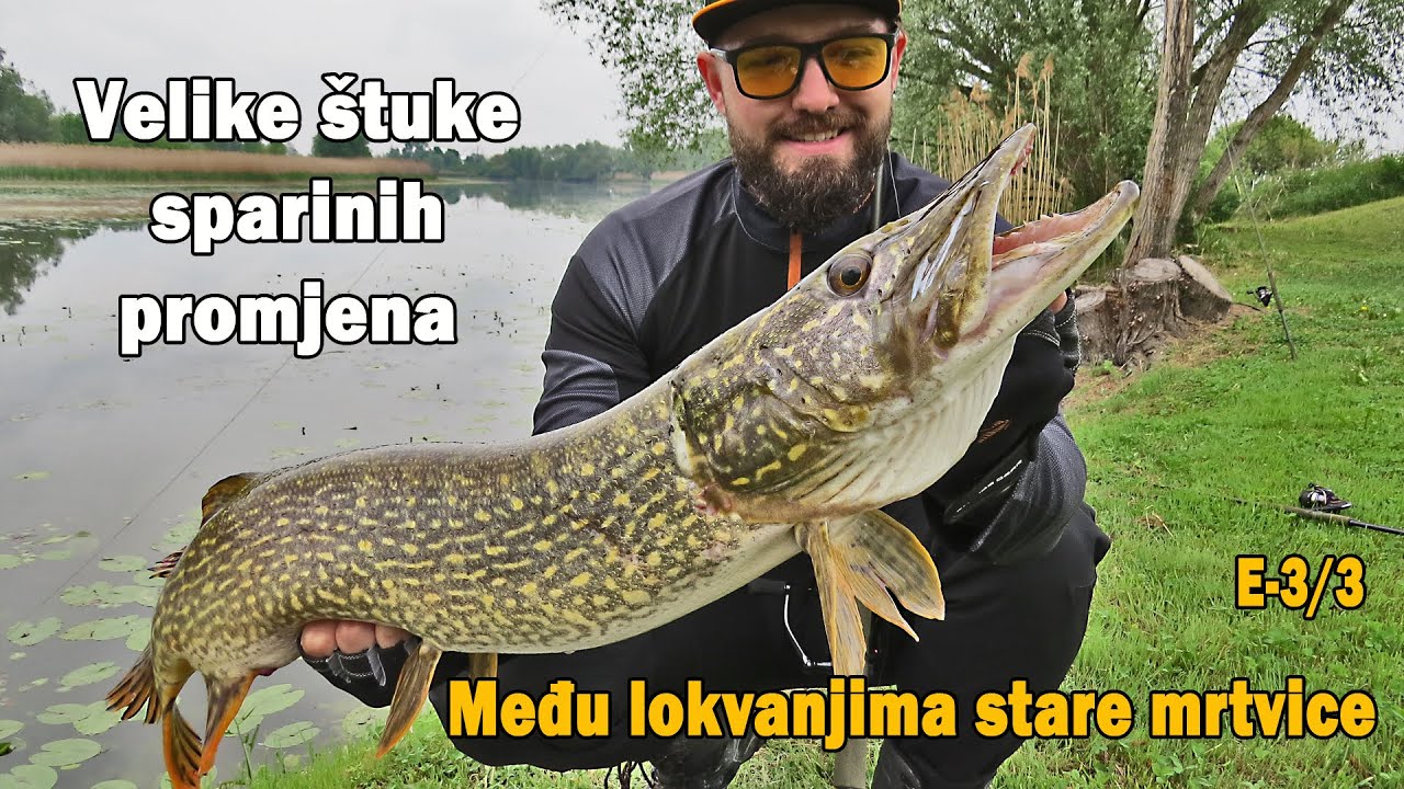 Velike štuke sparnih promjena - Zubate ralje na hladnom metalu E-3/3 / VSP Igor Pavičić