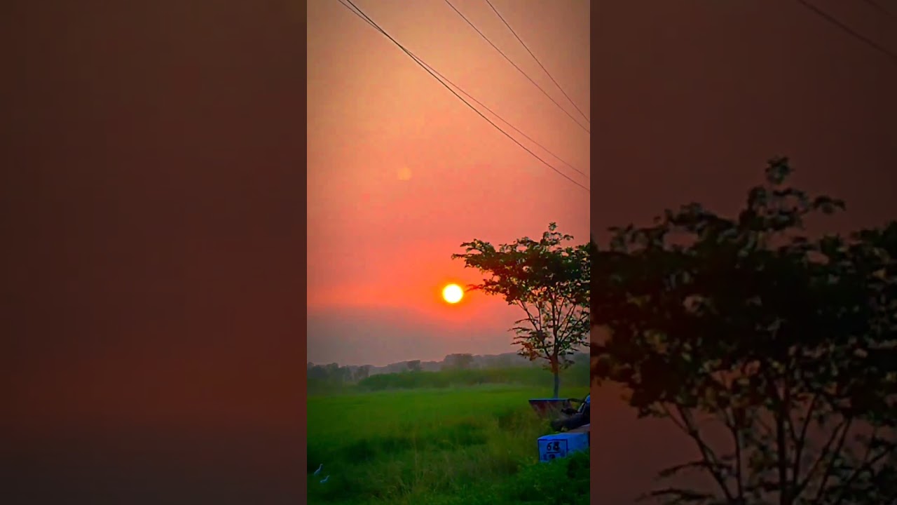 Sunrise morning 🌅status #short #morning #sunrise #viralshort