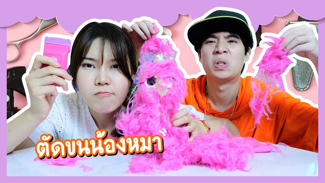 สุ่มน้องหมา ด้วยที่โกนขน | Ochymy Toys