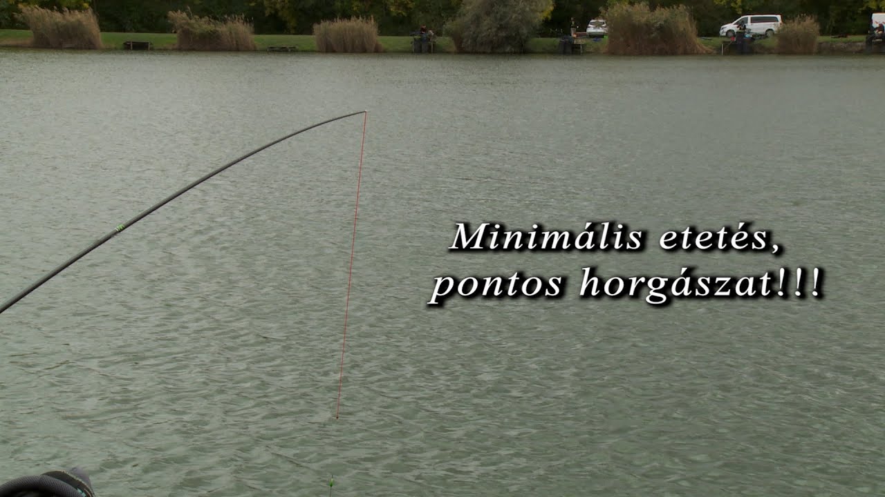 Minimális etetés, pontos horgászat!!!