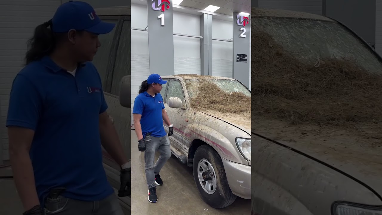 ⁨ لاند مهجور في مزرعة طيور، الفكرة من الموظف والعمل بدورة المونتاج بالذكاء الاصطناعي في البايو 🔥💚⁩