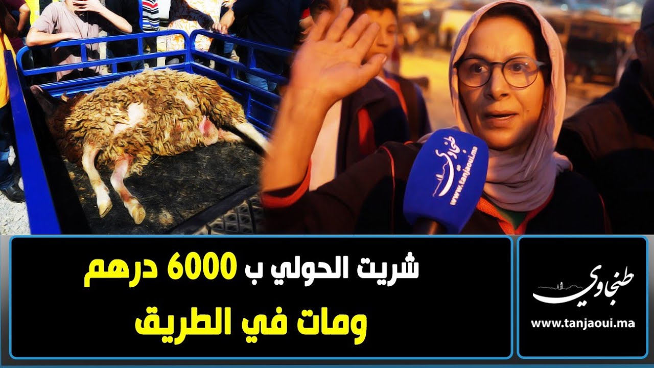 صدمة سيدة بطنجة ..شرات الحولي ب 6000درهم وفي الطريق مات