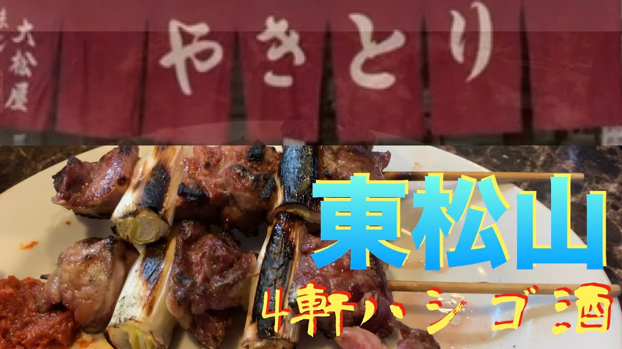 【東松山かつさんぽ】「ひびき」「いっちょう」「大松屋」「三金」4軒ハシゴ呑み食い from Higashimatsuyama in JAPAN【東松山やきとり】
