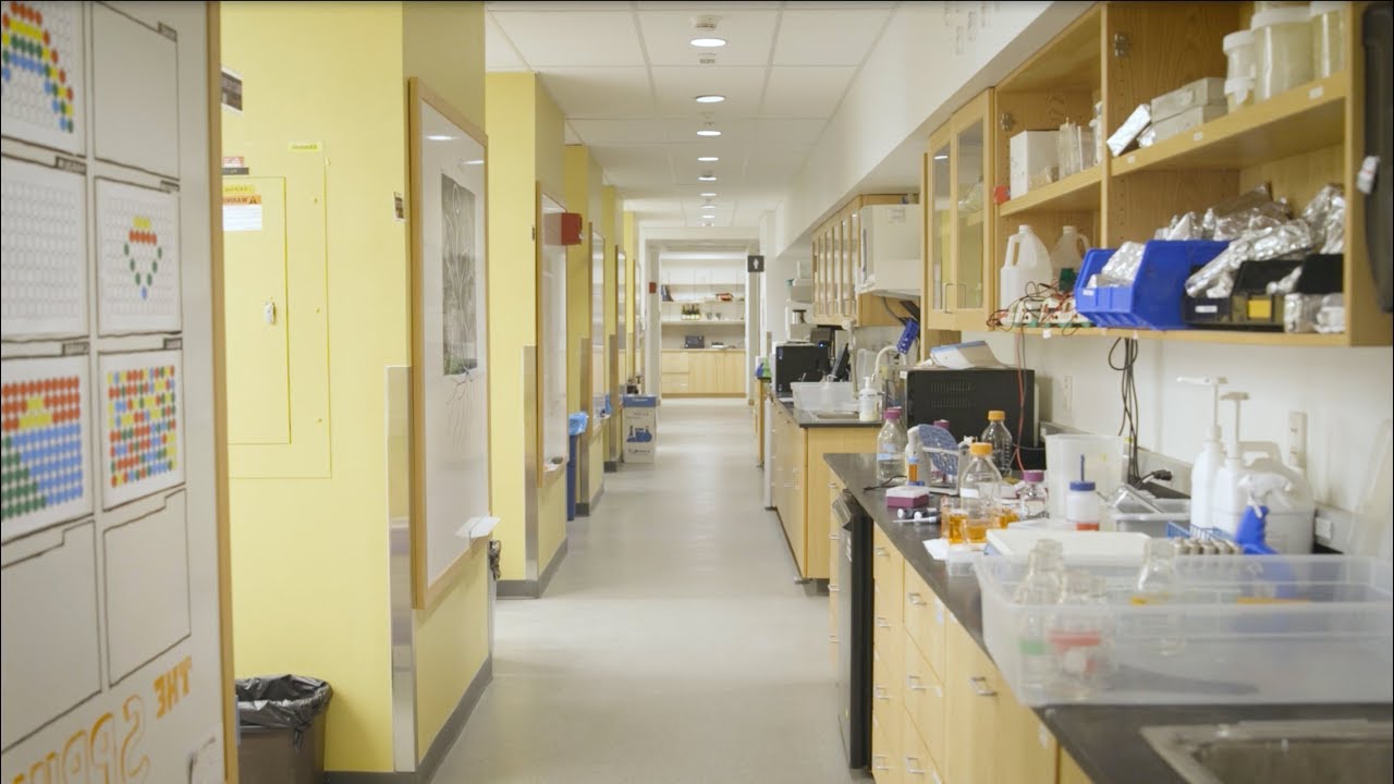 The NIH and the need for funding facilities and administration costs