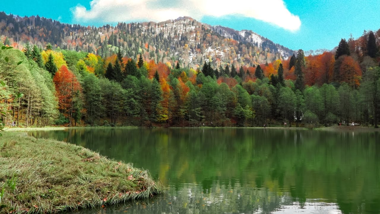 📍 Borçka'da Sonbahar