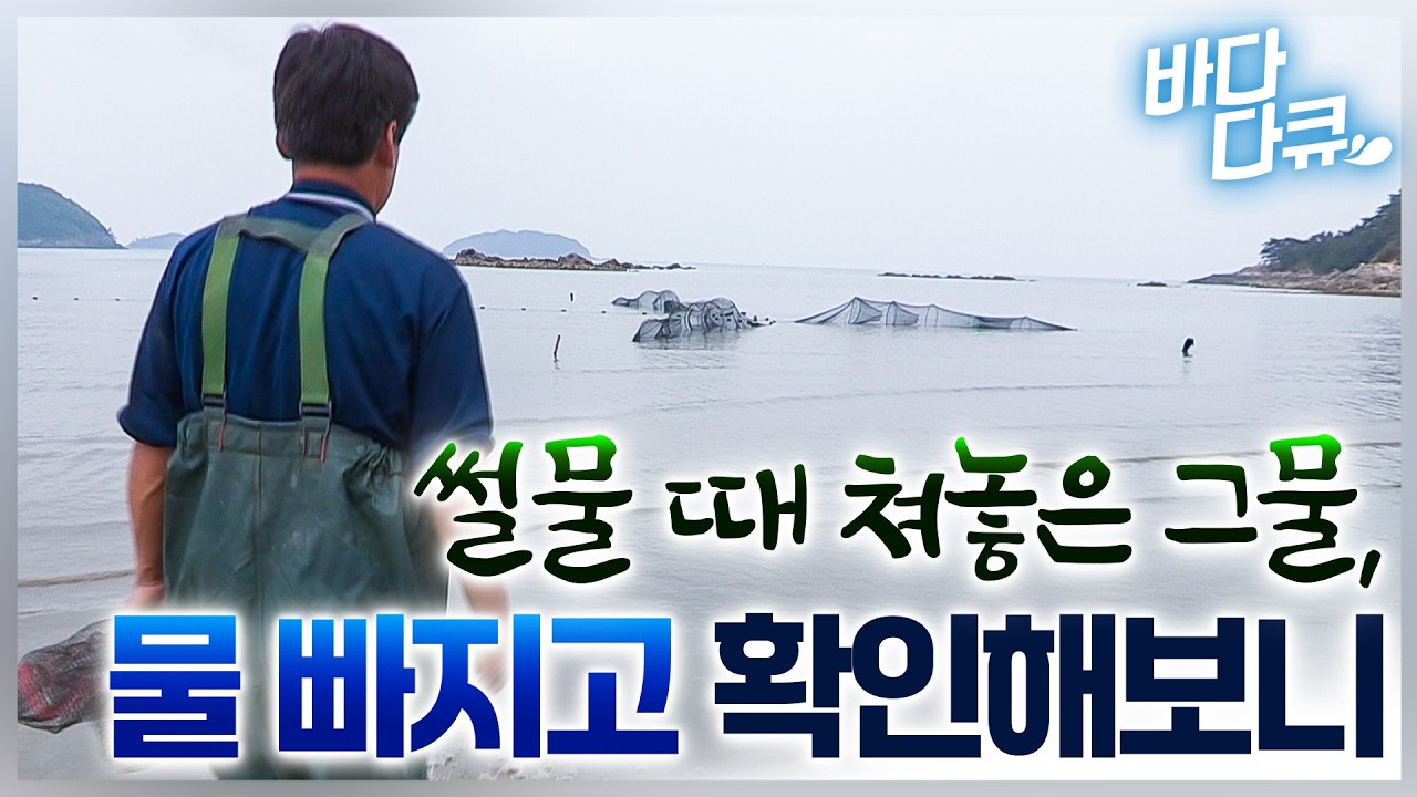너무 말도 안되게 잡힌다/쳐 놓기만 하면 고급 횟감 쓸어 담아 놓는 특이한 섬마을 효자 그물망/신난 어부들의 회 먹방/#바다다큐