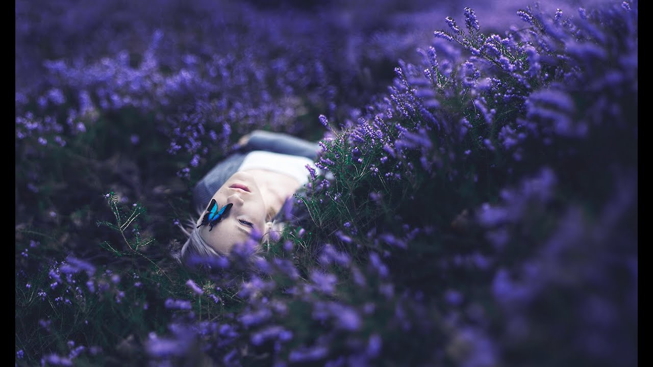Krisu | Flower of the North