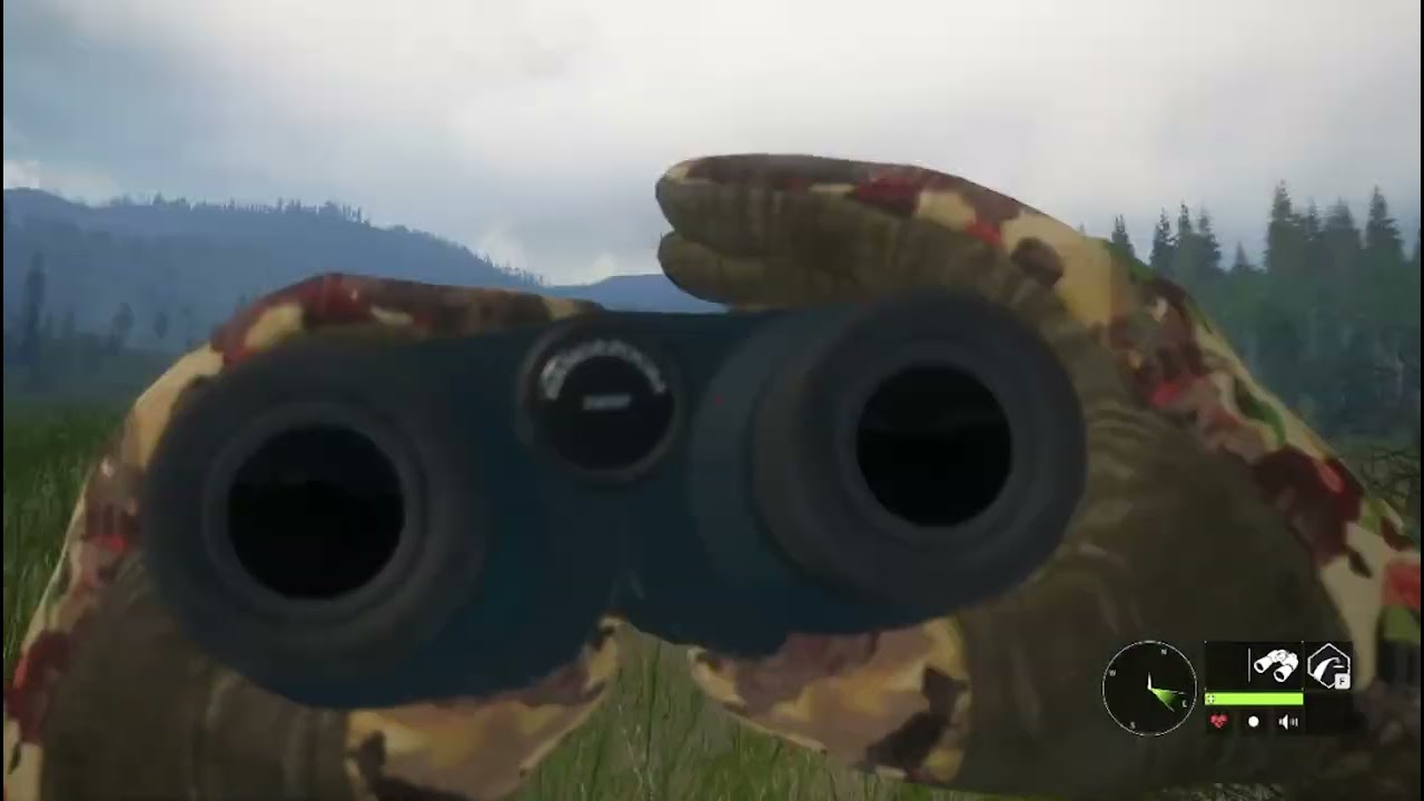 Call Of The Wild, Mag dumps, diamond at the end