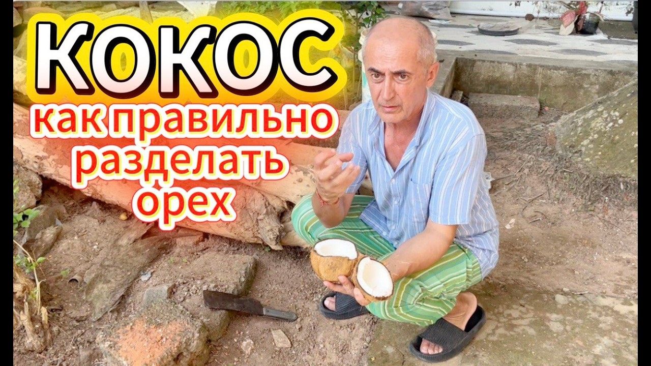 КАК ПРАВИЛЬНО КОЛОТЬ КОКОС | Индия