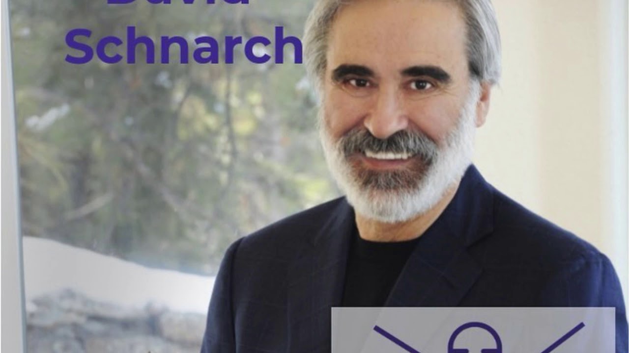 The AAMFT Podcast- Episode #3 - David Schnarch