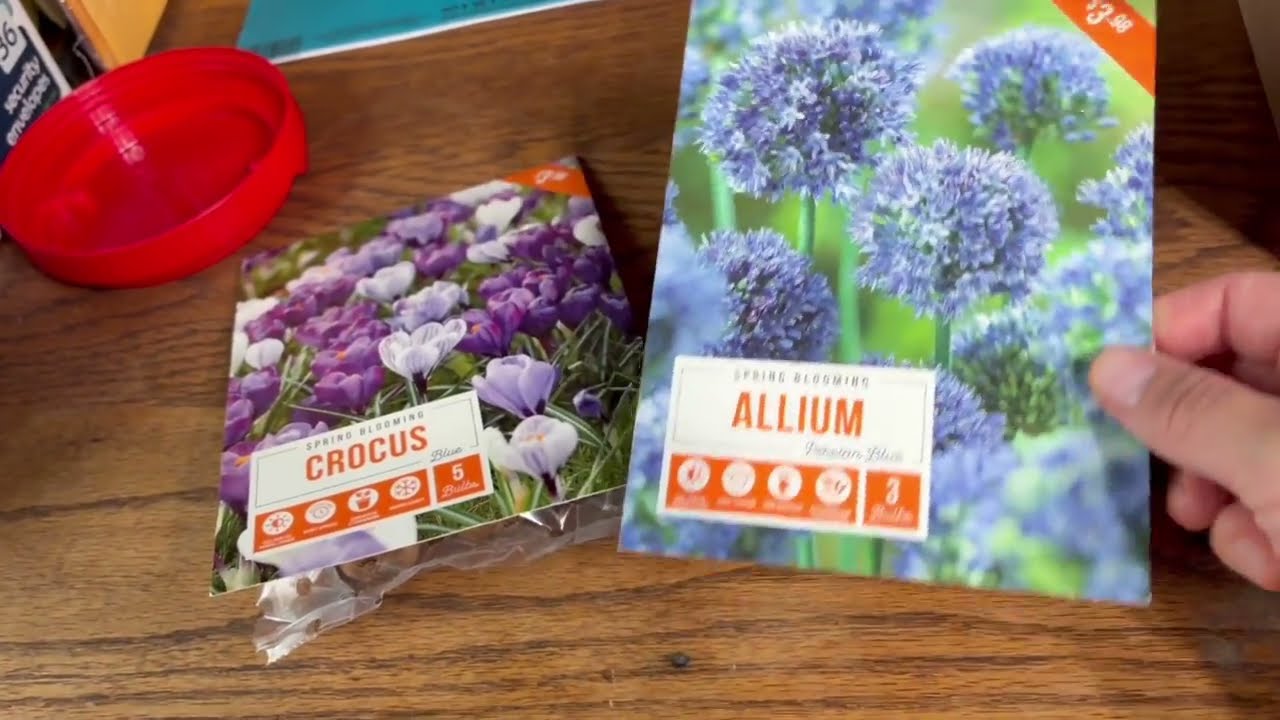 Seeds and a Trip to the Nursery