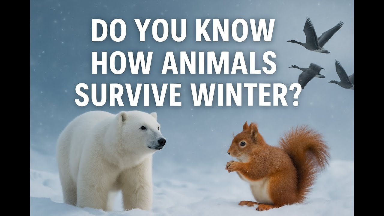 Winter Warriors: Nature&rsquo;s Toughest Survivors in Snow | 4K Wildlife Adventure