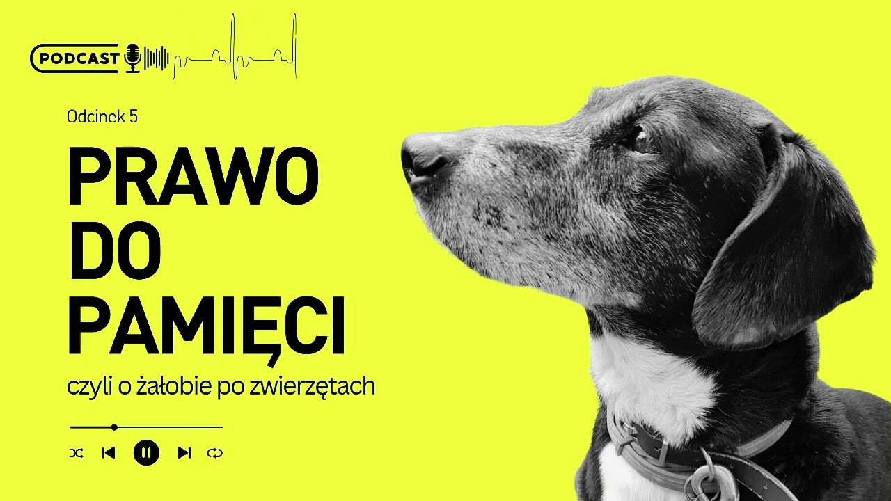 Prawo do pamięci. O żałobie po zwierzętach.