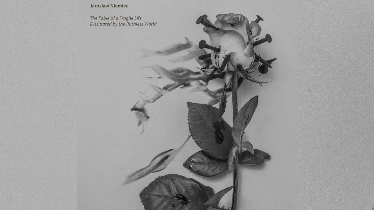 Jarosław Niemiec - The Fable of a Fragile Life Dissipated by the Ruthless World (full album)