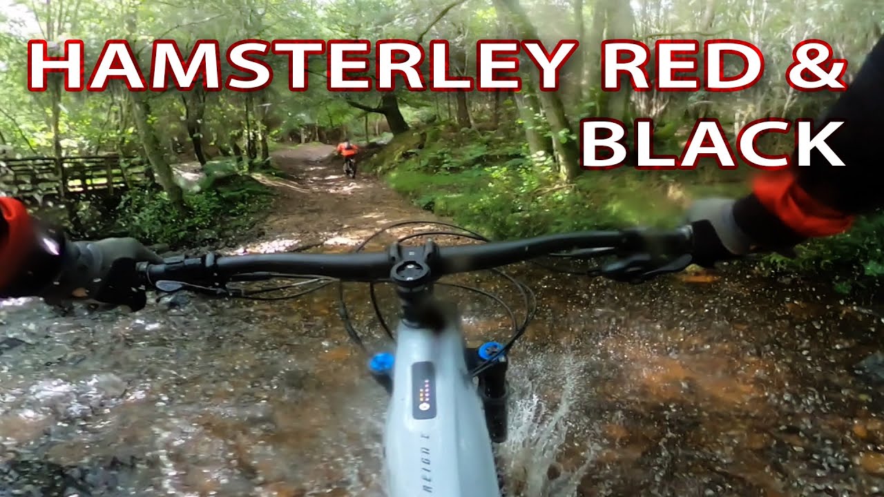 Day out at Hamsterley Forest's Red & Black mtb trails
