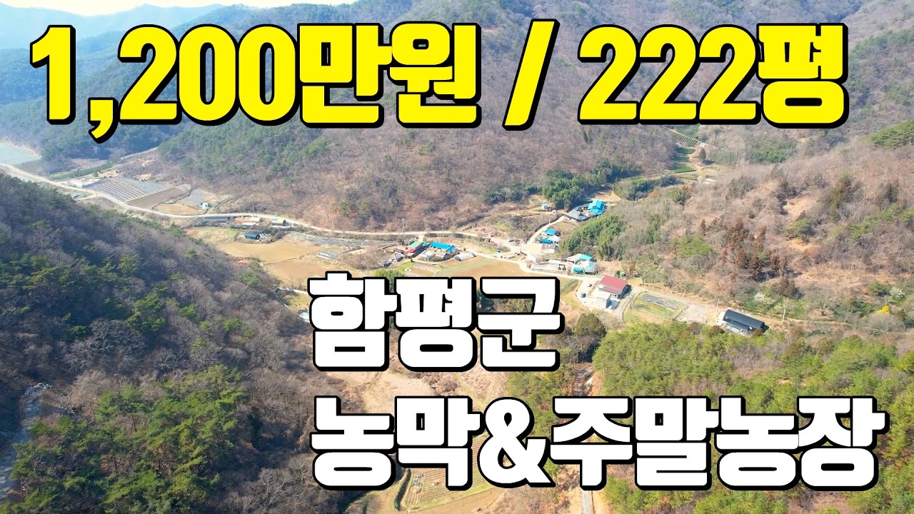 전남토지매매 #1569 대지 222평! 농지증명 없이 이전 가능 1,200만원 / #함평군 대동면