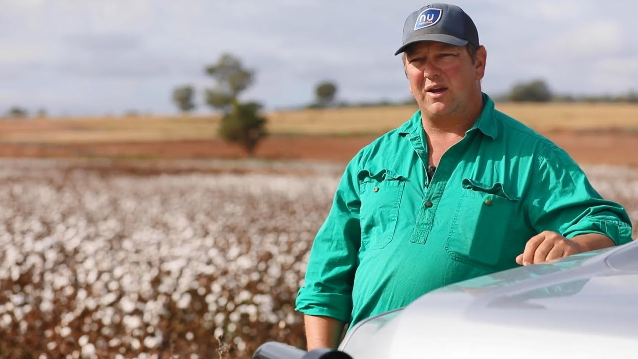 Cotton grower, James Frampton shares his experience after first growing cotton in a new area