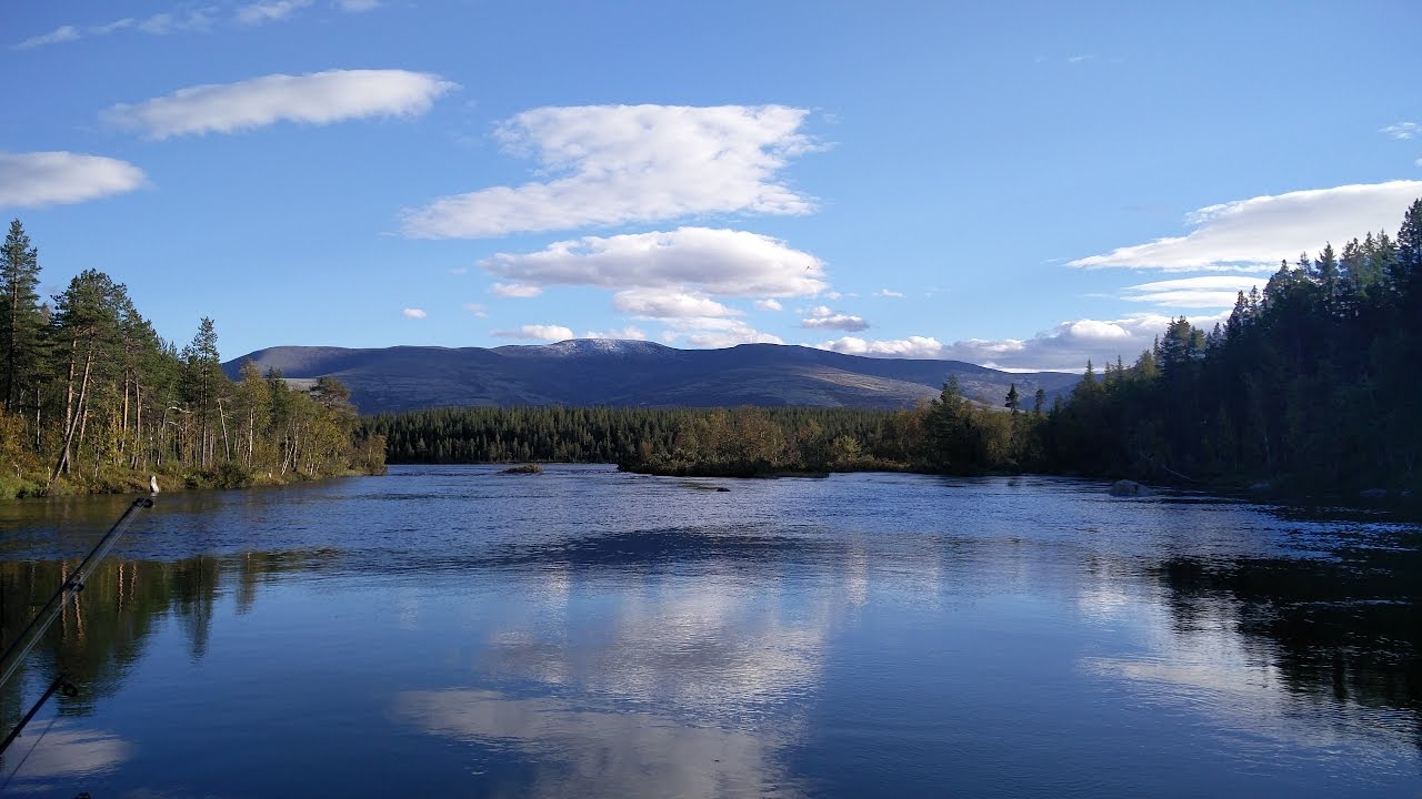 Фрегат М-480 FM Light Jet водомёт Golfstream T 25 BM JET резиновый интейк Кольский август 2016