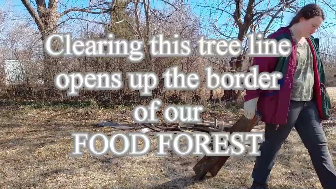 Clearing More Tree Line! 🌳 | Food Forest Prep 🌱