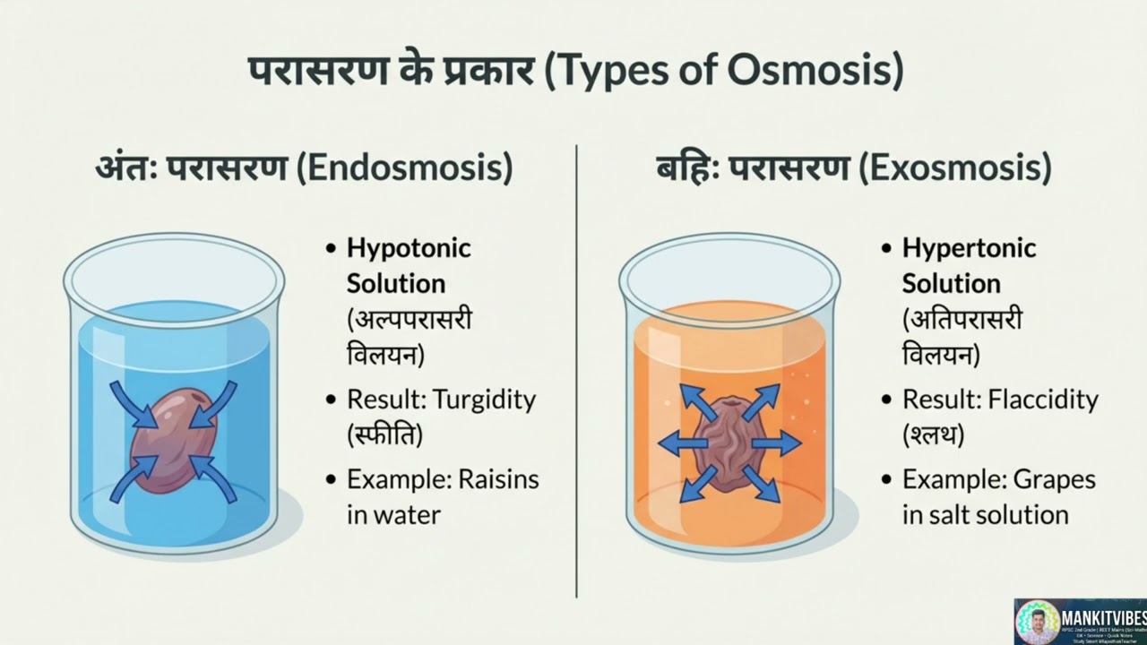पादप जल संबंध: विसरण, परासरण और जल विभव | Plant Water Relations | Chapter 5 | Biology| Class 12th|