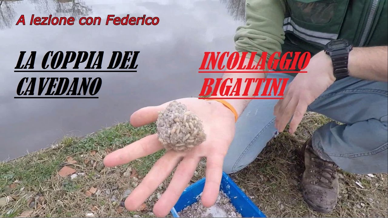 Come incollare i bigattini - A lezione con Federico