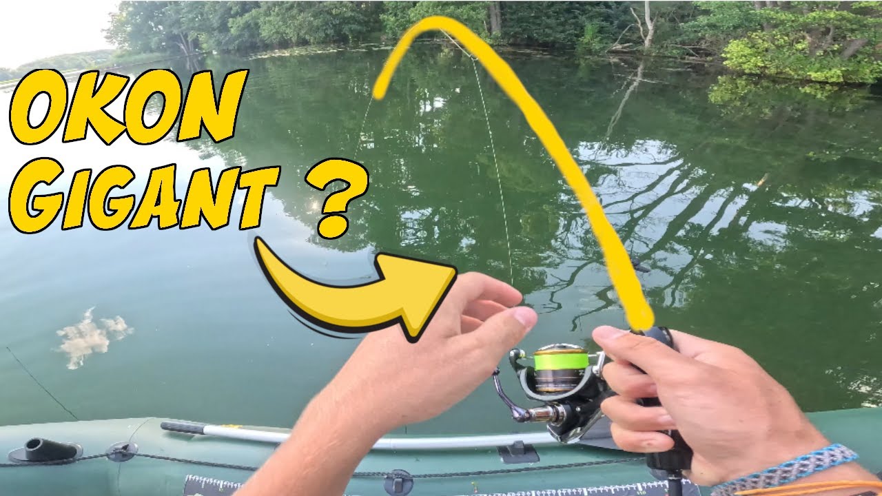 Okoniowy troling, great fish, woblery, blachy - czyli fajne okonie na spining
