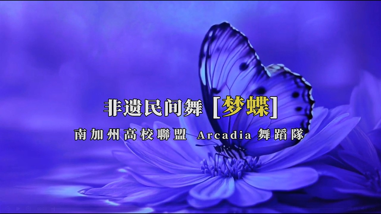17 梦蝶