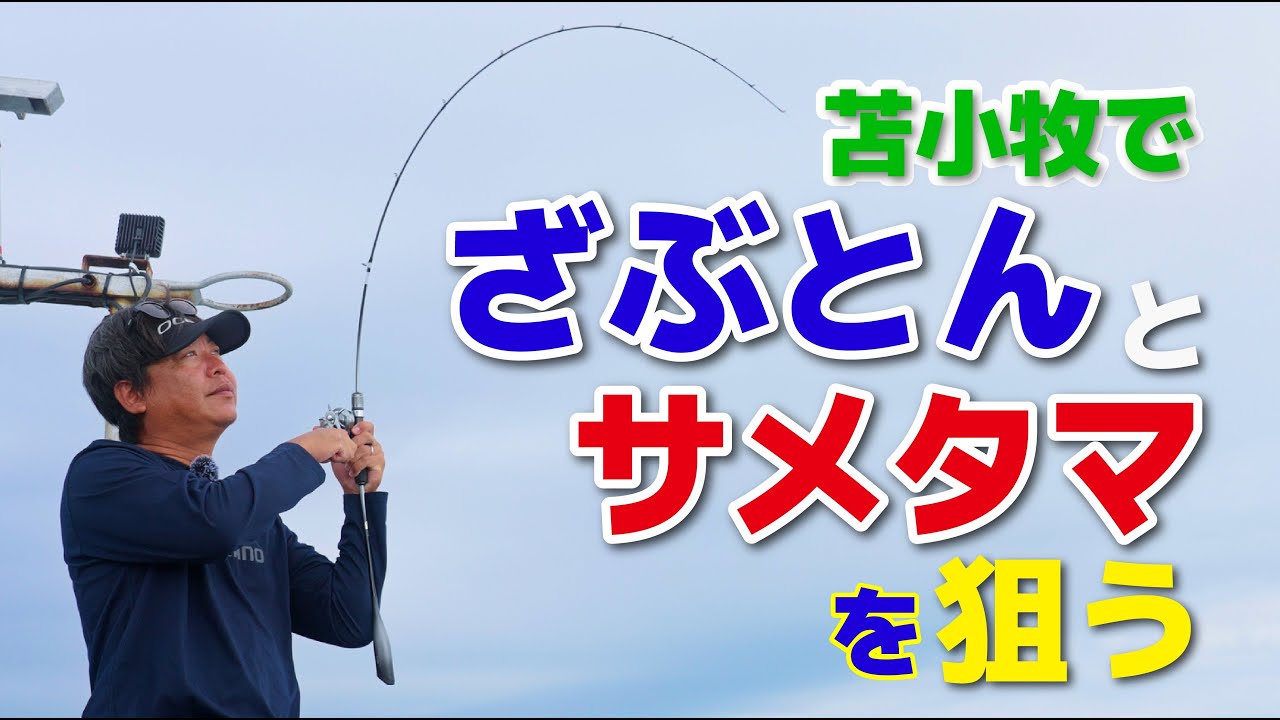 【ジギング】こんなにサメタマ釣ったこと無い！！今回も初場所でヒラメを狙う【山本啓人】