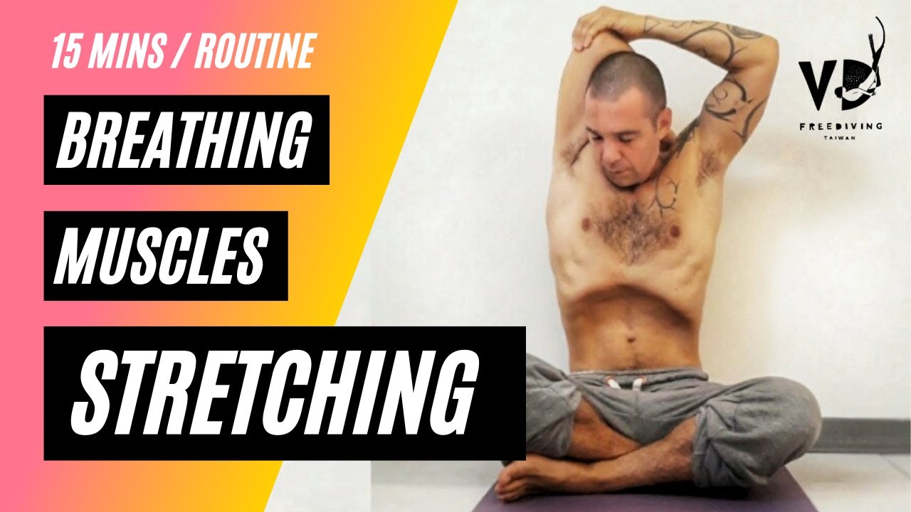 15分鐘自由潛水日常伸展 15min freediving daily stretching routine