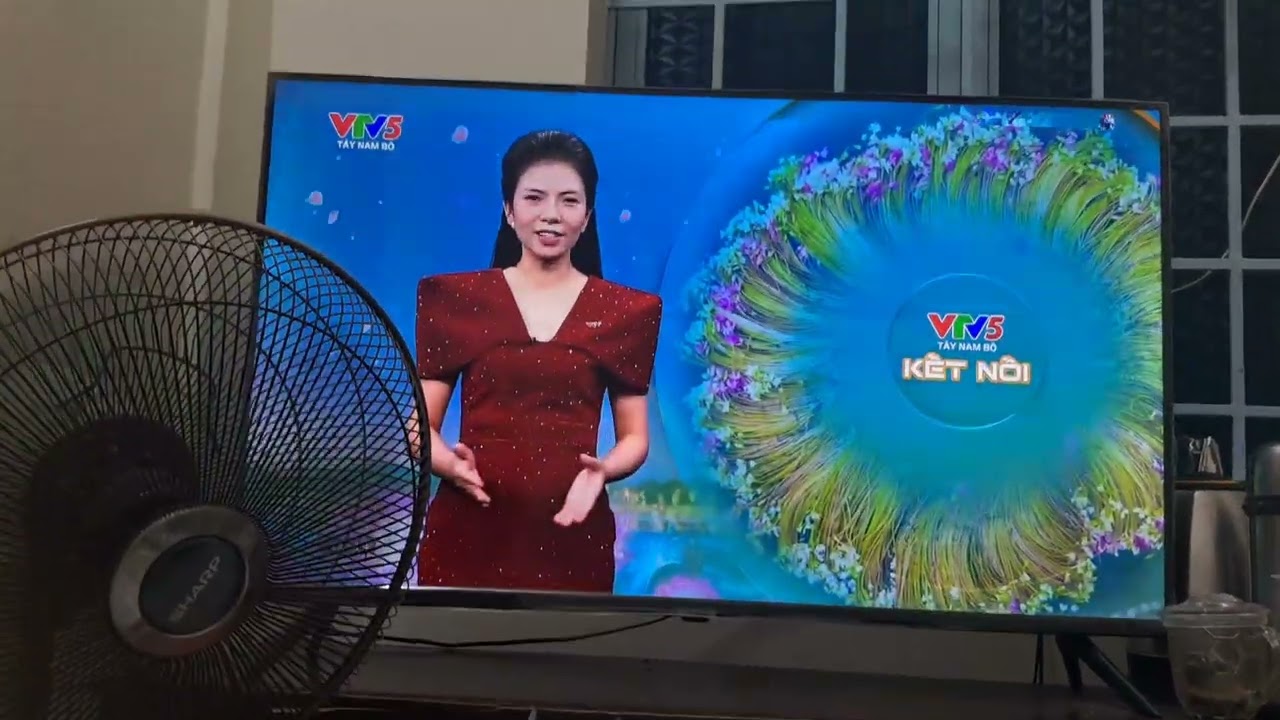 Reacting to VTV5 glitching on my dads television at Vietnam