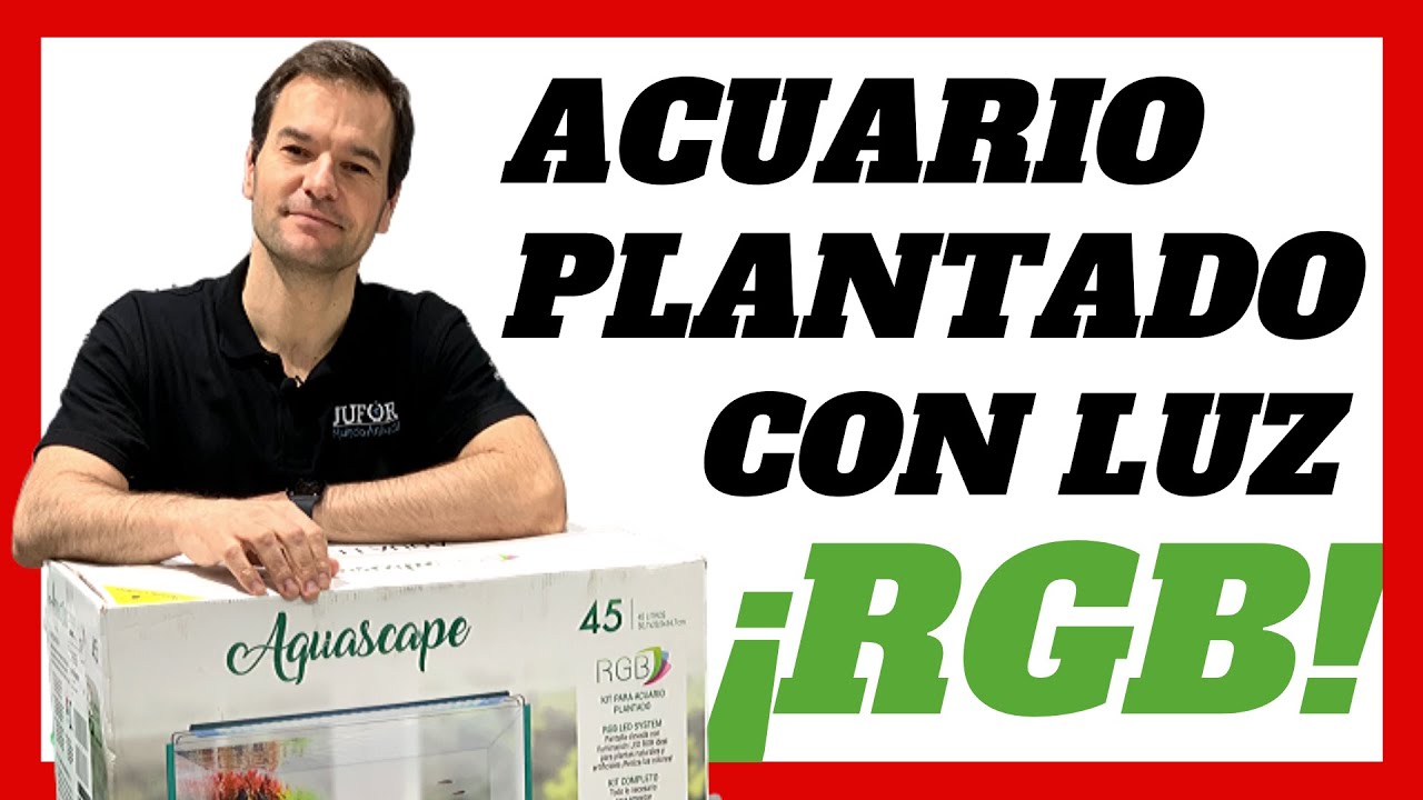 Aquascaping FÁCIL 🌱con tu primer ACUARIO PLANTADO de luces RGB