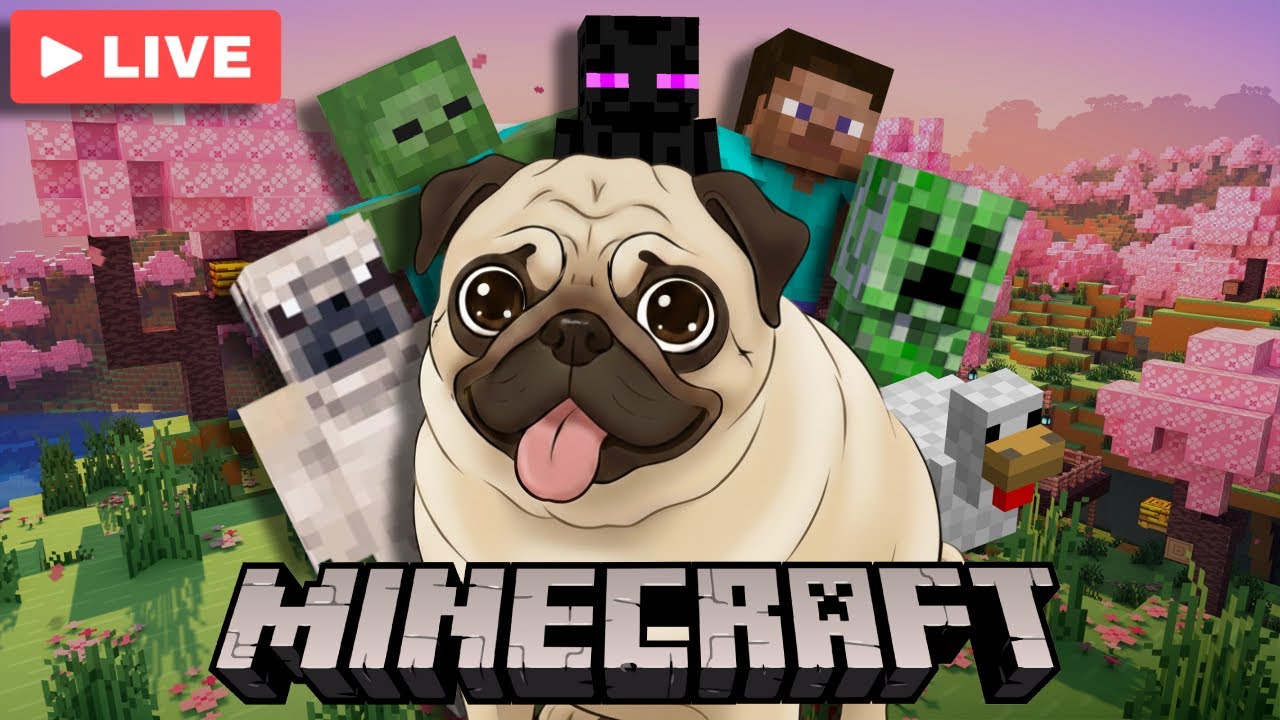 Playing DavinoSMP Server w/ Fans!