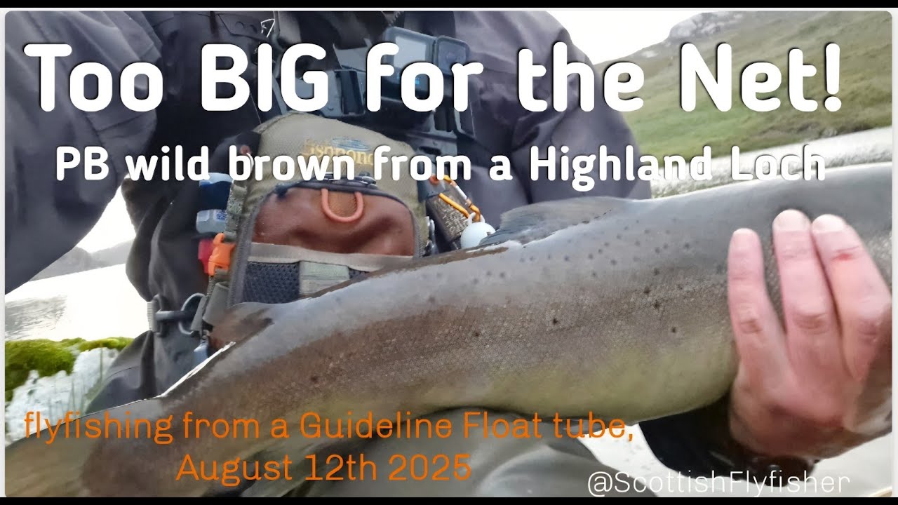 Too BIG for the net! PB Wild Brown trout on a Highland Loch.