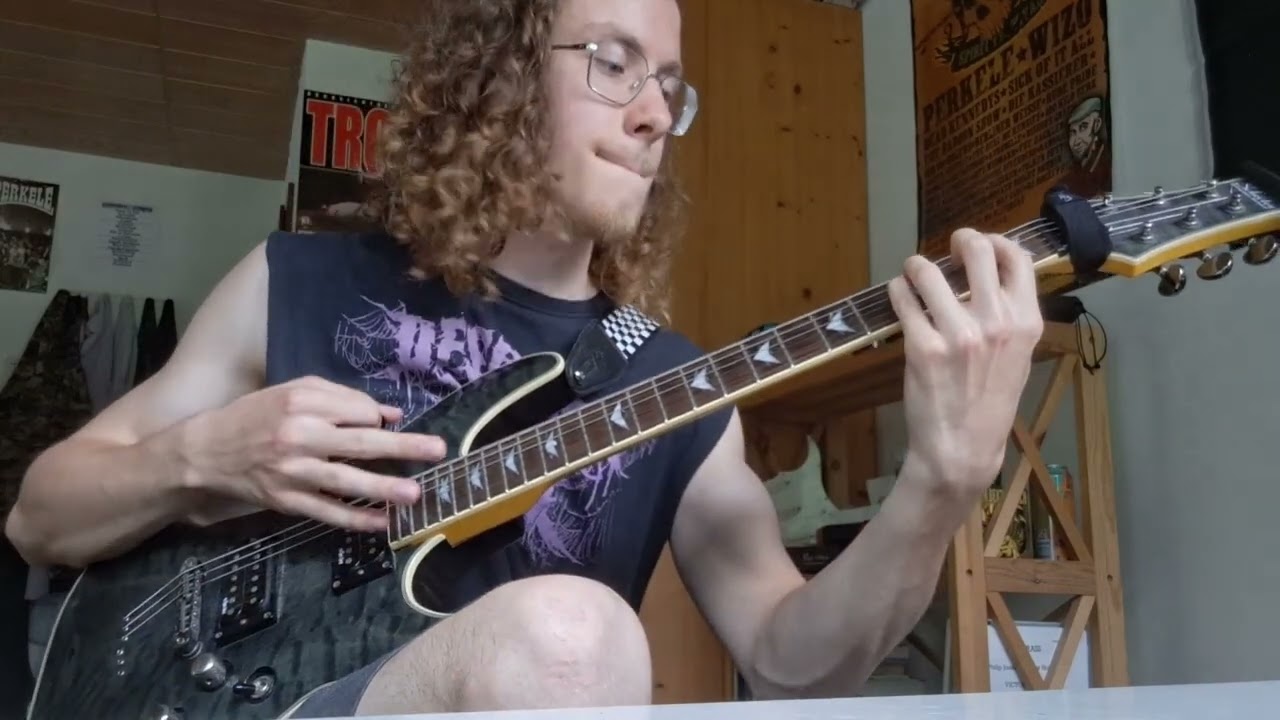 Falconer - The Clarion Call - Guitar Cover by Lennard