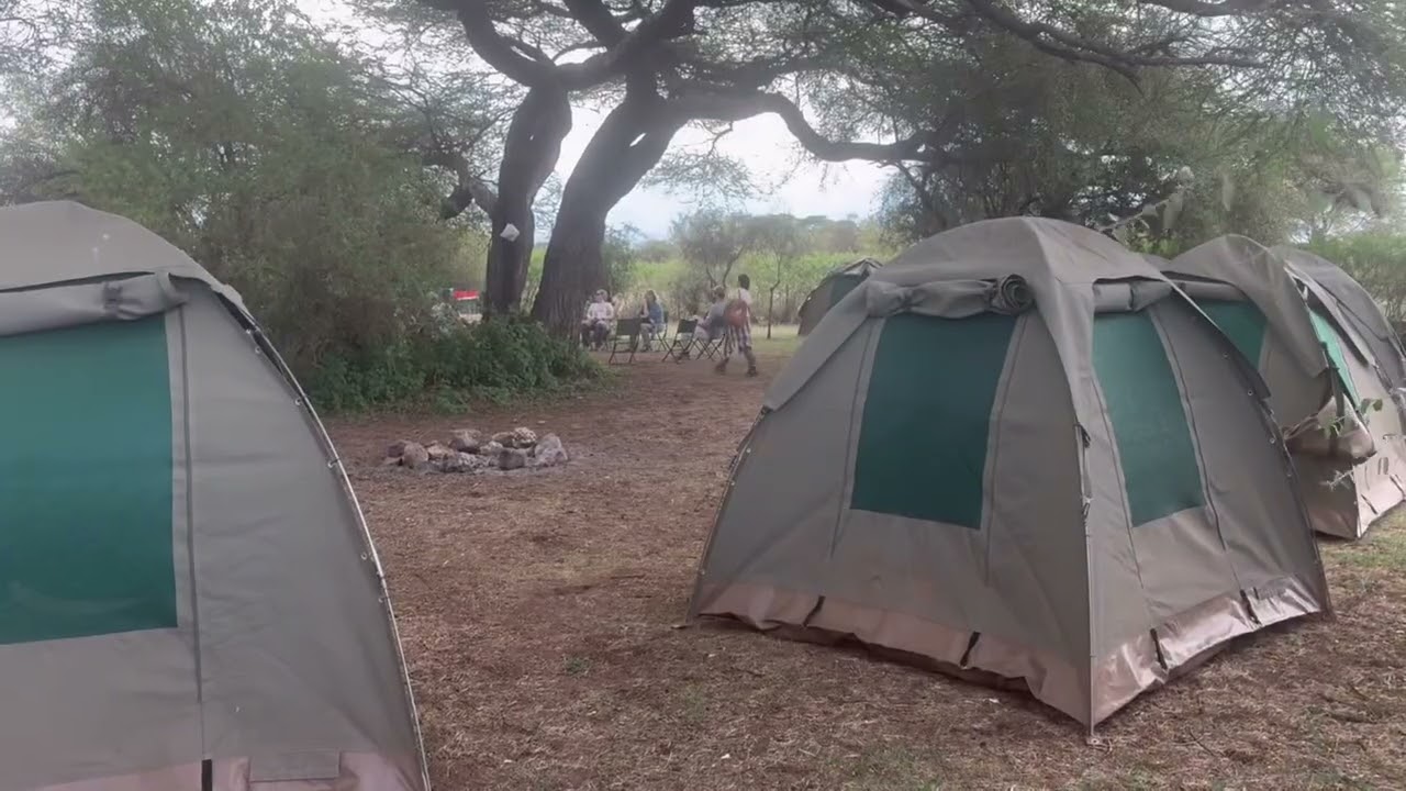 One Click Travel - Kenya/Tanzania Nov 2025