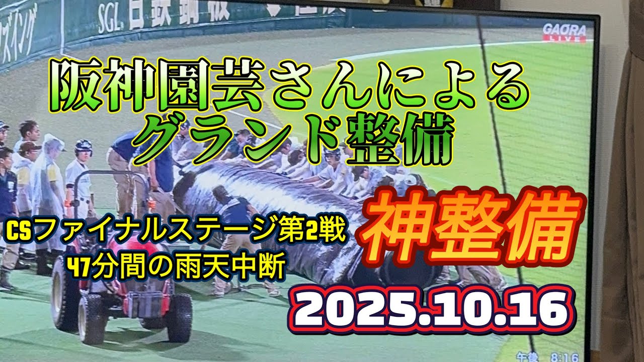 #阪神タイガース #クライマックスシリーズファイナルステージ第2戦#甲子園 #阪神園芸
