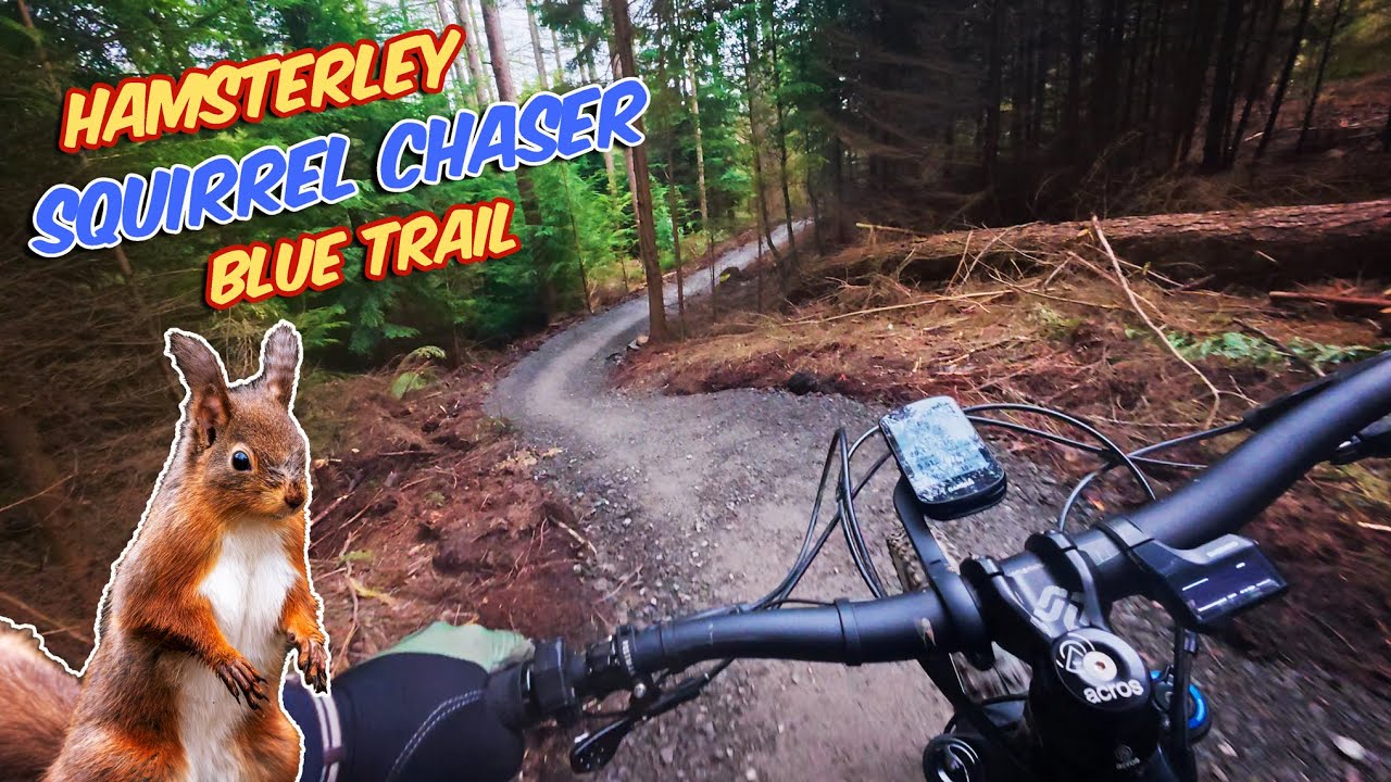 Squirrel Chaser Hamsterley Forest - Over The Hill Mountain Biking