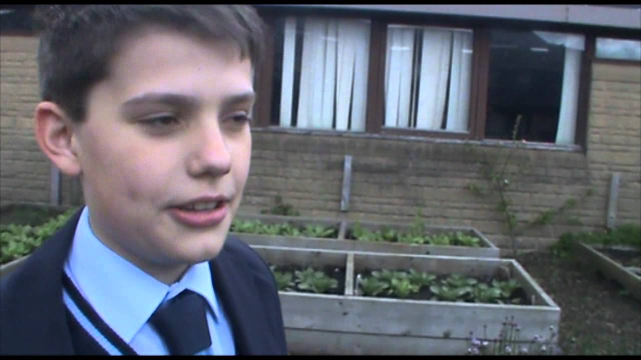 Year 6 Introduction