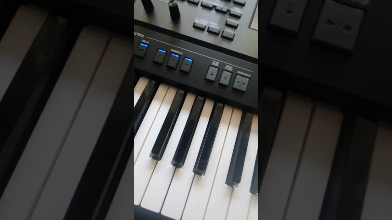 Yamaha psr A5000 udobstvo