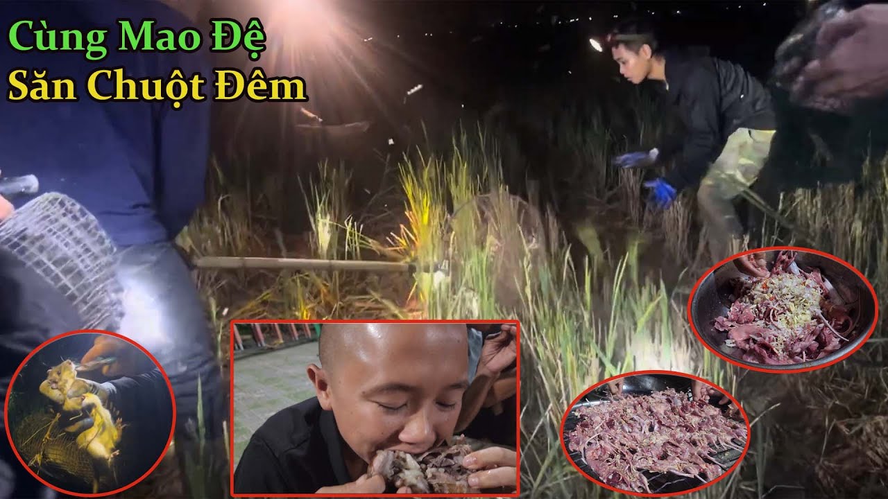 Một Buổi Săn Chuột Đêm Cực Vui Cùng Mao Đệ - Và Món Thịt Chuột Ngon Hết Nước Chấm