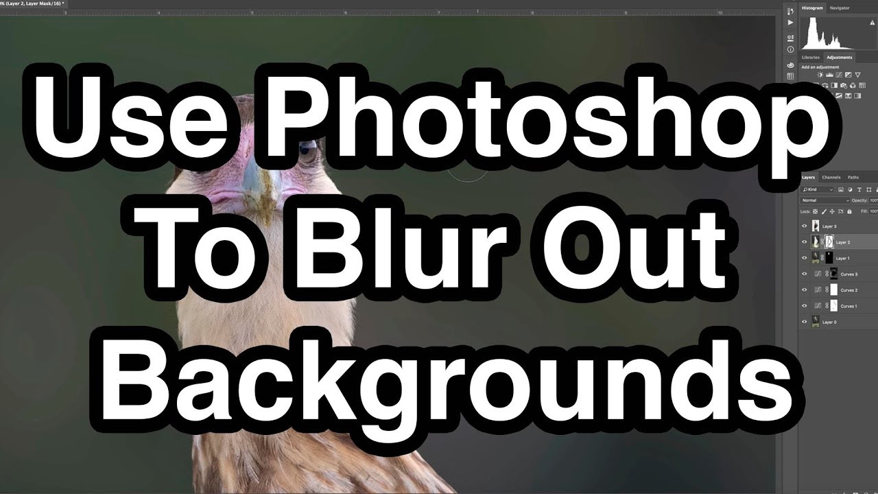 Используйте Photoshop для размытия фона
