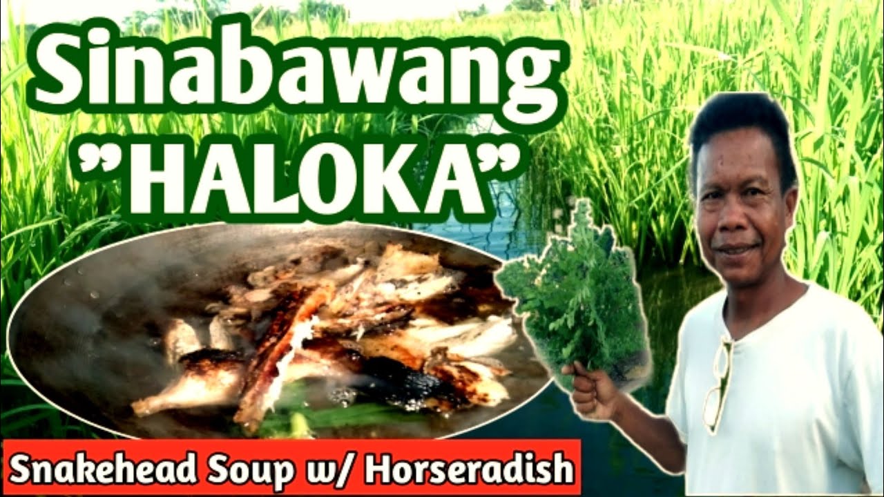 Sinabawang HALOKA | Snakehead Soup w/ Horseradish | Haloan at Malunggay | Ok Kaayo!!