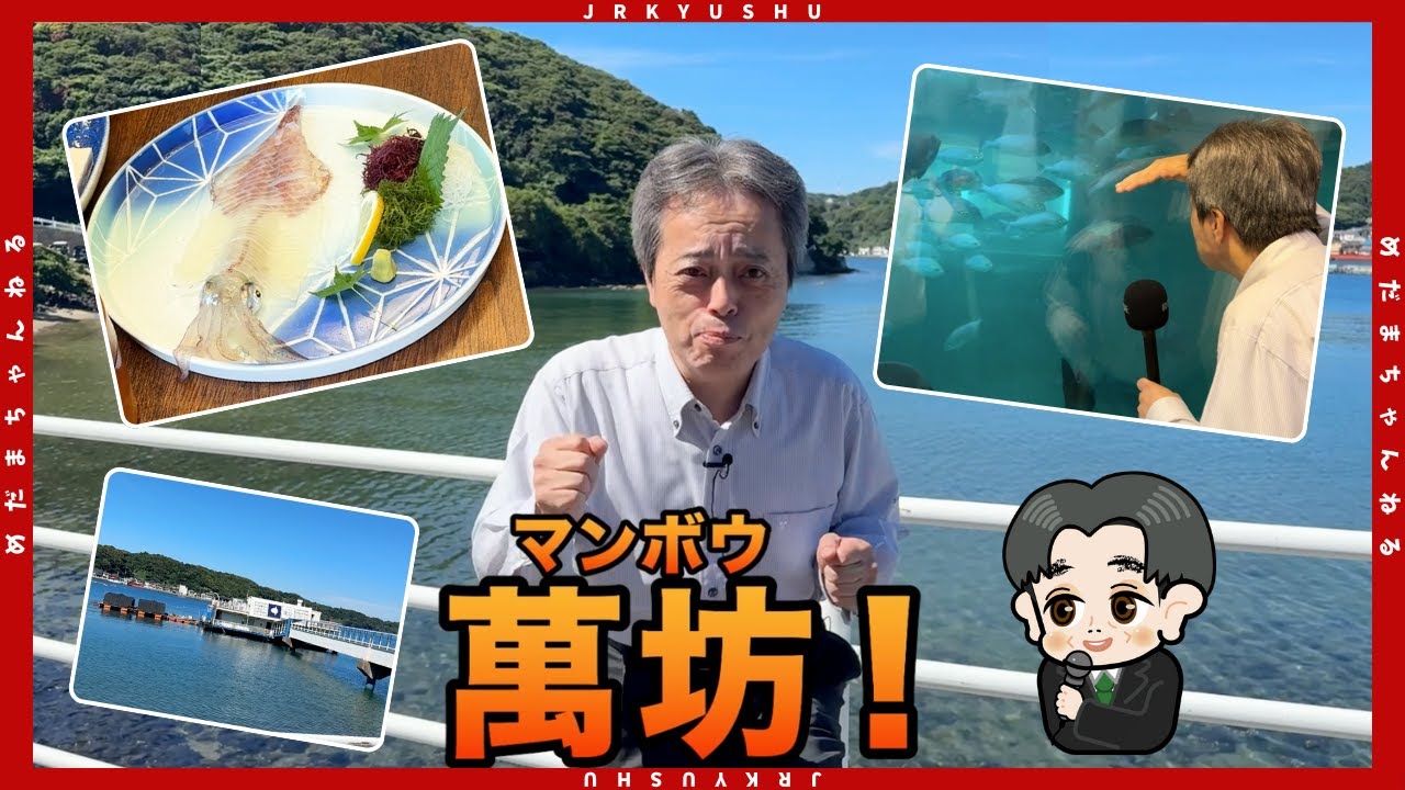 よ〜じ君が行く！JR九州グループ会社　呼子『萬坊』
