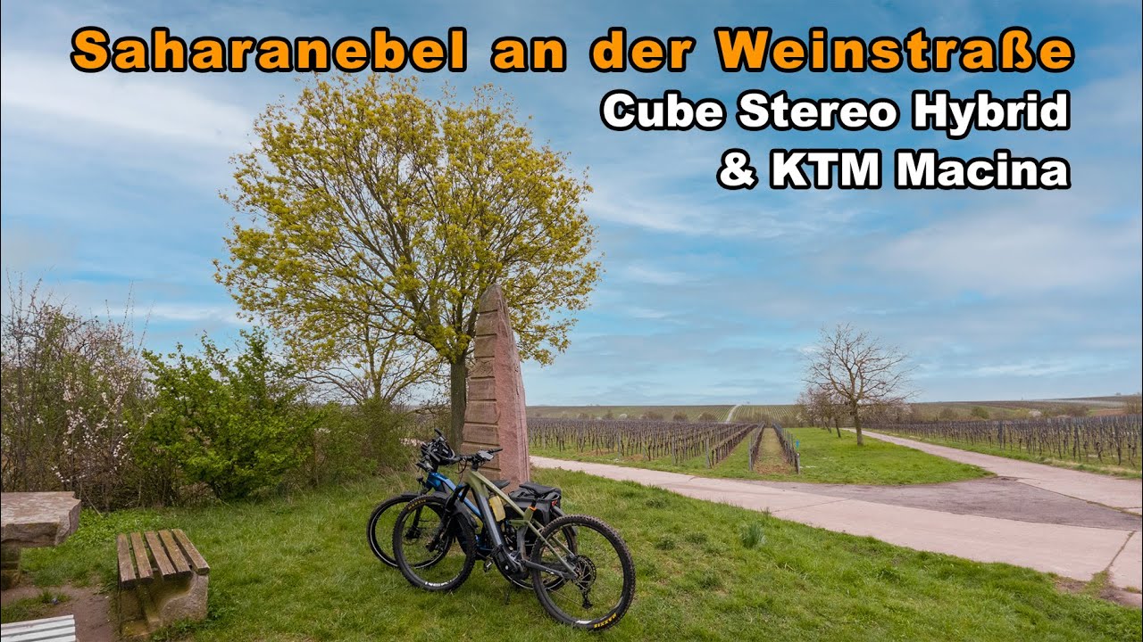 Saharanebel an der Weinstraße | Cube Stereo Hybrid & KTM Macina