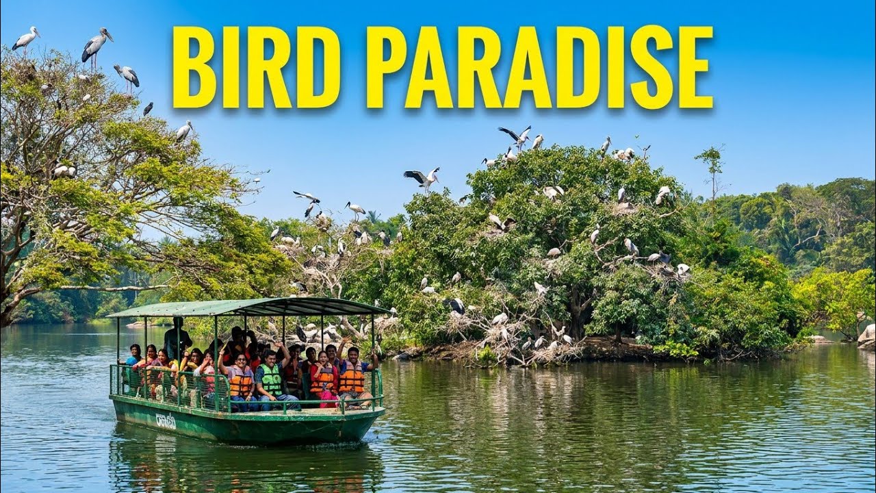 Ranganathittu bird sanctuary Part - 2 | bird sanctuary @vlogsbyjyothi 
