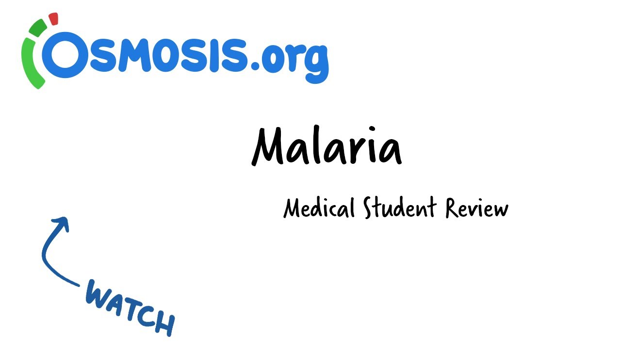 Malaria | Osmosis Study Video