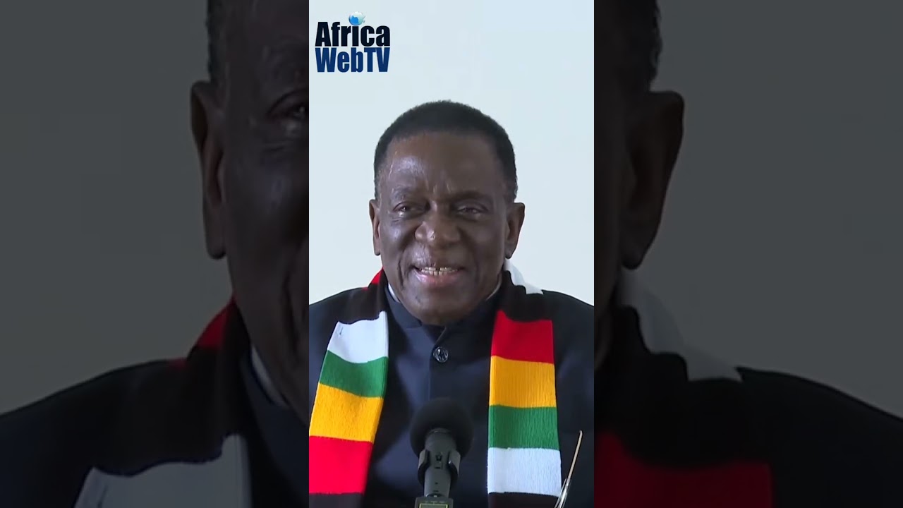 Europe Can Not Survive Without Africa | Best Short Videos On Africa Web TV2 In 2025