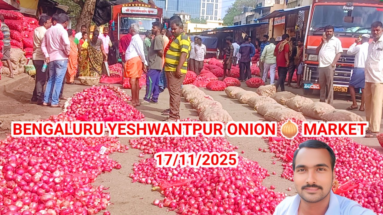 17/11/2025  Bangalore Yeshwantpur onion market report wholesale price
