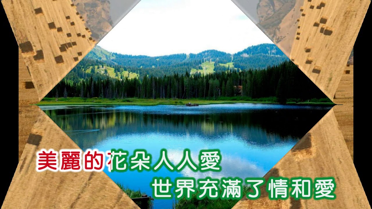 鳳飛飛 ~ 敲敲門